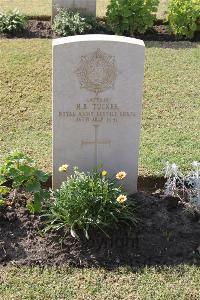 Ismailia War Memorial Cemetery - Tucker, Harry Barlis